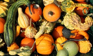 Halloween oder gleich Samhain?