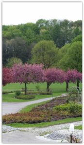 Alles Neu macht der Mai